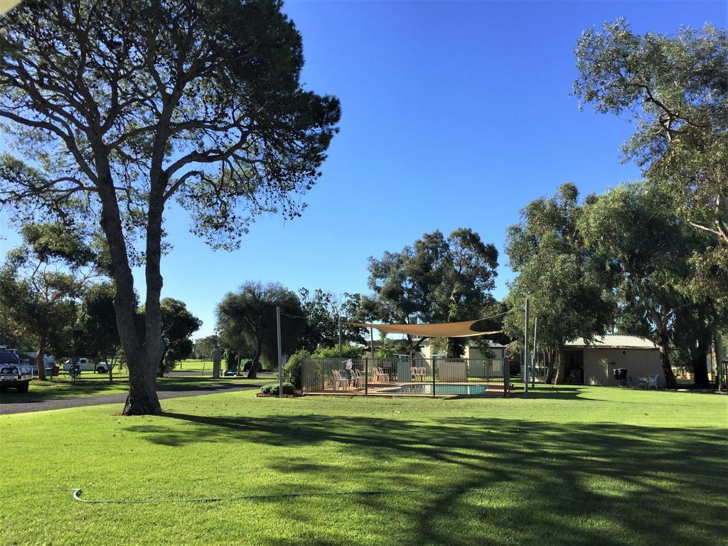 Junee Tourist Park Eksteriør billede