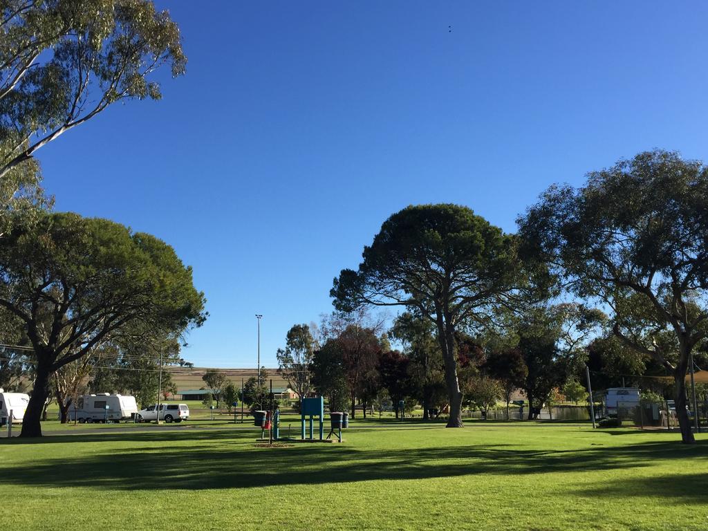 Junee Tourist Park Eksteriør billede